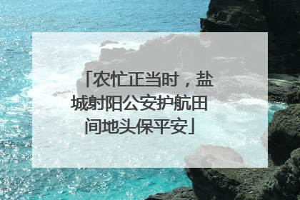 农忙正当时，盐城射阳公安护航田间地头保平安