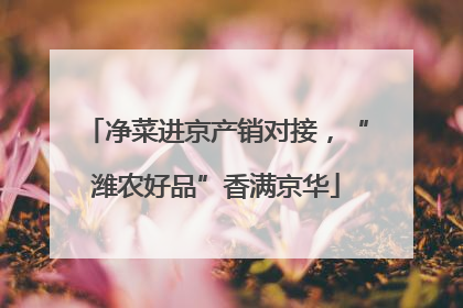 净菜进京产销对接，“潍农好品”香满京华