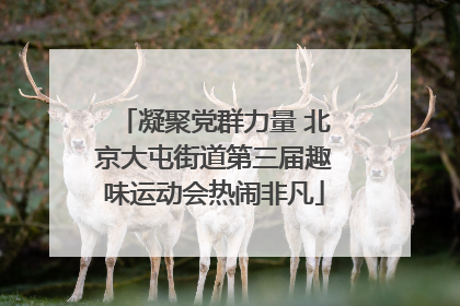 凝聚党群力量 北京大屯街道第三届趣味运动会热闹非凡