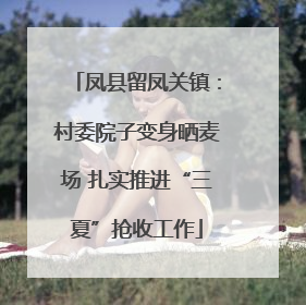 凤县留凤关镇：村委院子变身晒麦场 扎实推进“三夏”抢收工作