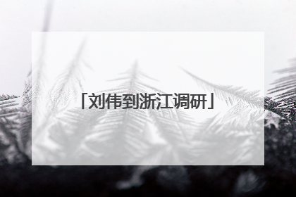 刘伟到浙江调研