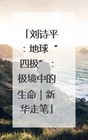 刘诗平：地球“四极”：极境中的生命｜新华走笔