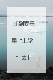 到麦田里“上学”去