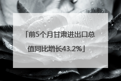 前5个月甘肃进出口总值同比增长43.2%