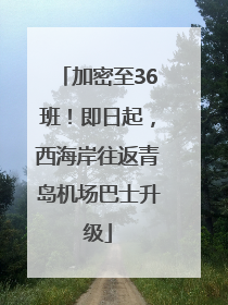 加密至36班！即日起，西海岸往返青岛机场巴士升级