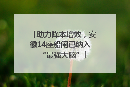 助力降本增效，安徽14座船闸已纳入“最强大脑”