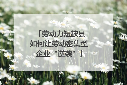 劳动力短缺县 如何让劳动密集型企业“逆袭”