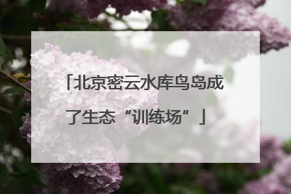 北京密云水库鸟岛成了生态“训练场”