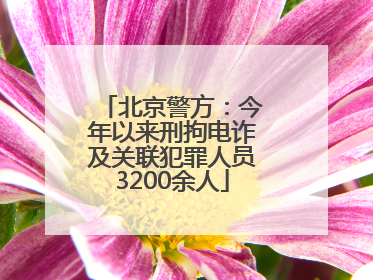 北京警方：今年以来刑拘电诈及关联犯罪人员3200余人