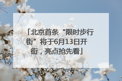 北京首条“限时步行街”将于6月13日开街，亮点抢先看