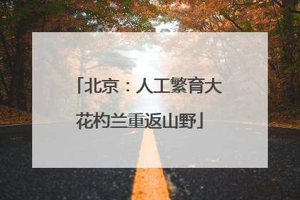 北京：人工繁育大花杓兰重返山野