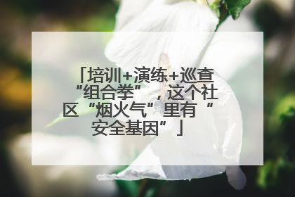 培训+演练+巡查“组合拳”，这个社区“烟火气”里有“安全基因”