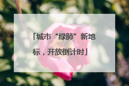 城市“绿肺”新地标，开放倒计时