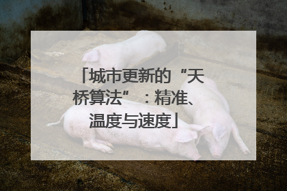 城市更新的“天桥算法”：精准、温度与速度