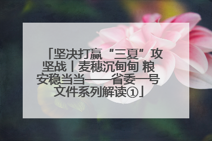 坚决打赢“三夏”攻坚战丨麦穗沉甸甸 粮安稳当当——省委一号文件系列解读①