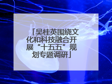 吴桂英围绕文化和科技融合开展“十五五”规划专题调研