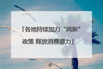 各地持续加力“两新”政策 释放消费潜力