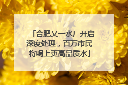 合肥又一水厂开启深度处理，百万市民将喝上更高品质水