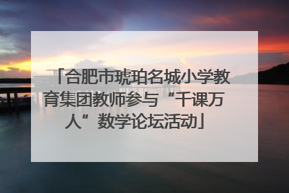 合肥市琥珀名城小学教育集团教师参与“千课万人”数学论坛活动