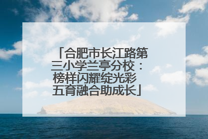 合肥市长江路第三小学兰亭分校：榜样闪耀绽光彩 五育融合助成长