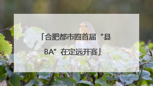 合肥都市圈首届“县BA”在定远开赛