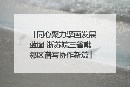 同心聚力擘画发展蓝图 浙苏皖三省毗邻区谱写协作新篇