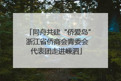 同舟共建“侨爱岛” 浙江省侨商会青委会代表团走进嵊泗