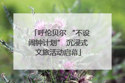 呼伦贝尔 “不设闹钟计划” 沉浸式文旅活动启幕