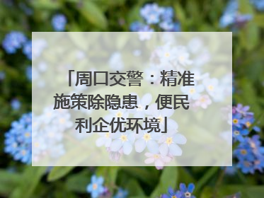 周口交警：精准施策除隐患，便民利企优环境