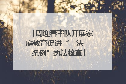 周迎春率队开展家庭教育促进“一法一条例”执法检查