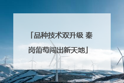 品种技术双升级 秦岗葡萄闯出新天地