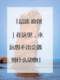 品读·原创｜在这里，永远想不出会遇到什么动物