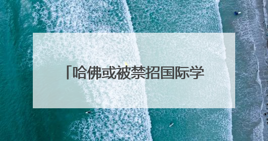 哈佛或被禁招国际学生，比利时未来女王可能也受影响……