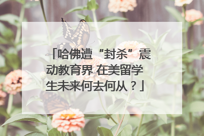哈佛遭“封杀”震动教育界 在美留学生未来何去何从？