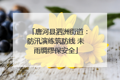 唐河县泗洲街道：防汛演练筑防线 未雨绸缪保安全