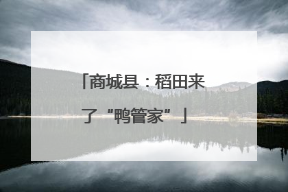 商城县：稻田来了“鸭管家”