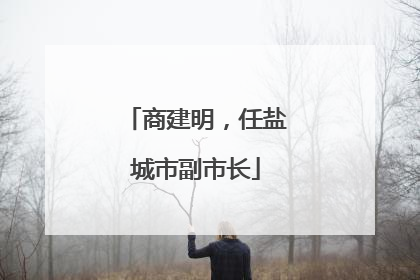 商建明，任盐城市副市长