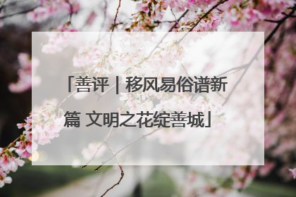 善评｜移风易俗谱新篇 文明之花绽善城