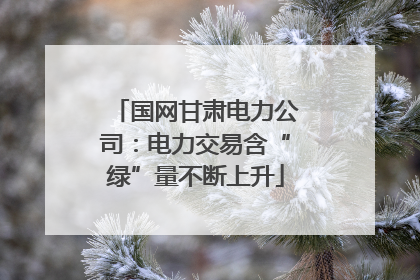 国网甘肃电力公司：电力交易含“绿”量不断上升