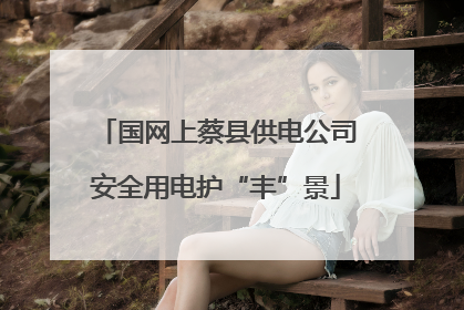 国网上蔡县供电公司安全用电护“丰”景