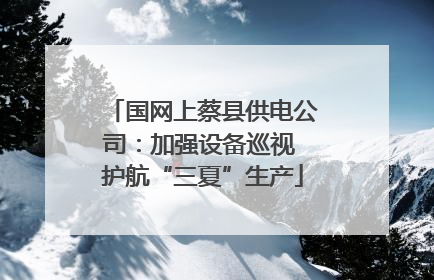 国网上蔡县供电公司：加强设备巡视 护航“三夏”生产