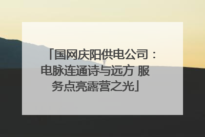 国网庆阳供电公司：电脉连通诗与远方 服务点亮露营之光