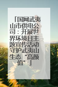 国网武夷山市供电公司：开展世界环境日主题宣传活动守护武夷山生态“高颜值”