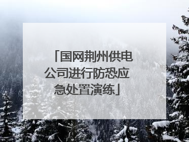国网荆州供电公司进行防恐应急处置演练