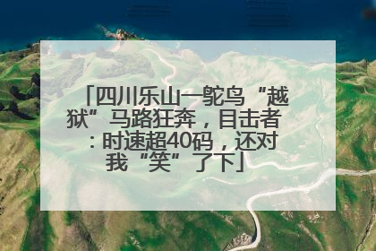 四川乐山一鸵鸟“越狱”马路狂奔，目击者：时速超40码，还对我“笑”了下