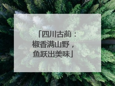 四川古蔺：椒香满山野，鱼跃出美味