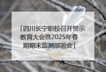 四川长宁职校召开警示教育大会暨2025年春期期末监测部署会