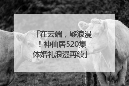 在云端，够浪漫！神仙居520集体婚礼浪漫再续