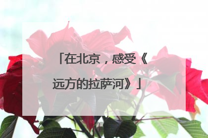 在北京，感受《远方的拉萨河》