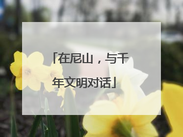 在尼山，与千年文明对话